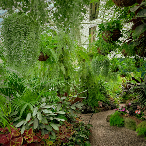 Connect with nature in the conservatory in the nearby Fitzroy Gardens