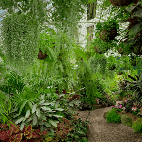 Connect with nature in the conservatory in the nearby Fitzroy Gardens