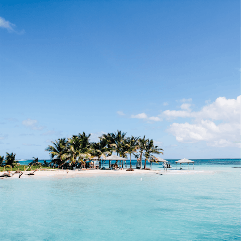 Enjoy nearby Tortuga Bay Beach, just a five minute walk or one minute golf cart drive away