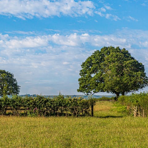 Head off on countryside walks straight from your door