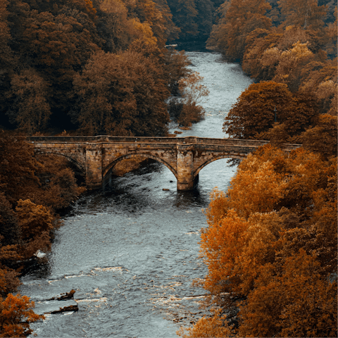 Stay in the heart of Richmond, just a five-minute stroll from the market square