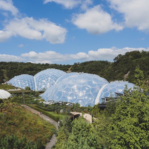 Drive to the Eden Project in twenty five minutes and wander around the extraordinary gardens