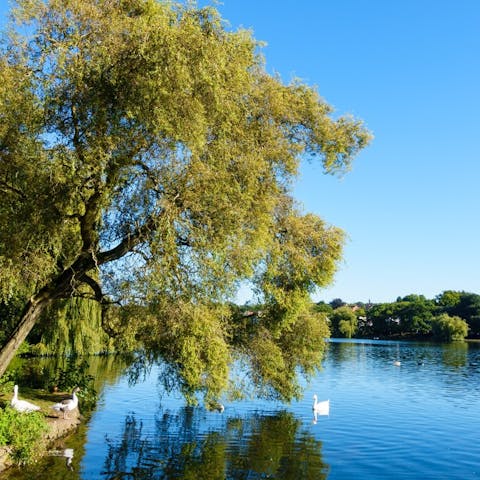 Wander around the charming Roath Park, about twenty-five minutes away on foot