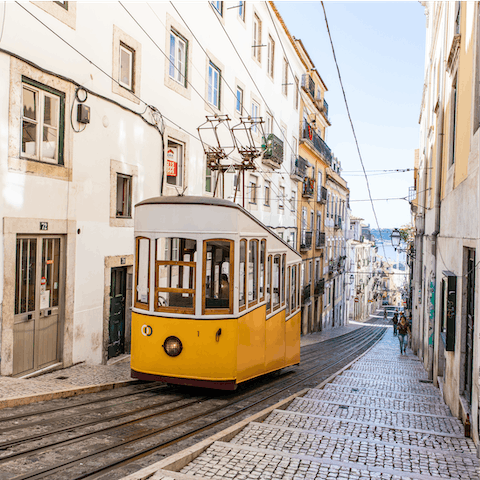 Explore Lisbon from the laid-back district of Campo de Ourique