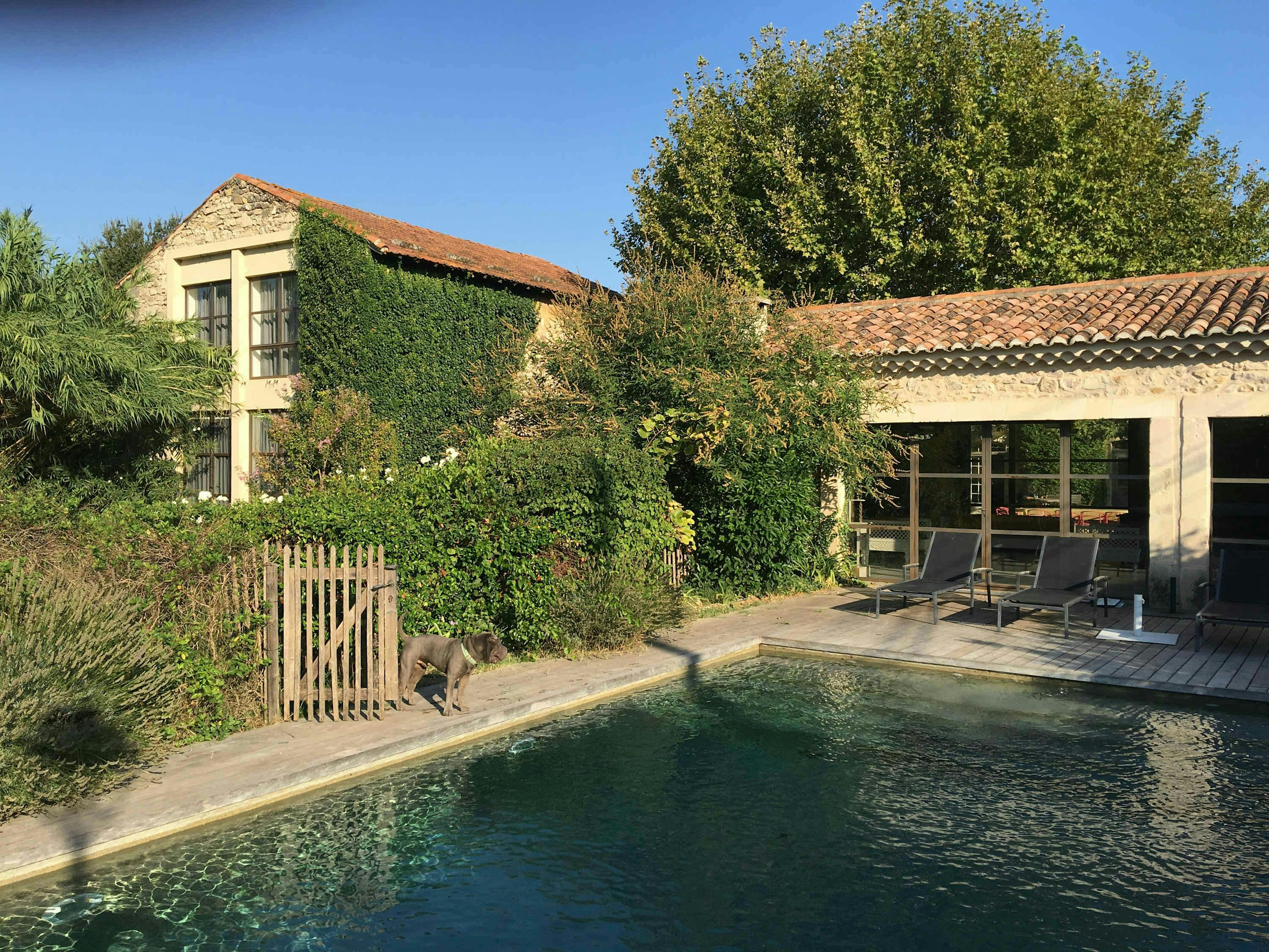 Rolling Meadows Gîte