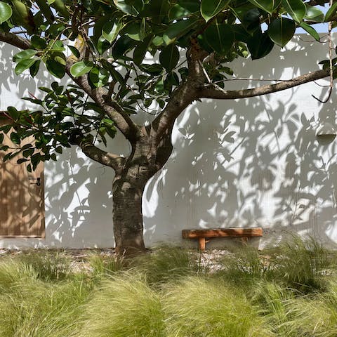 Find a quiet spot in the shade to unwind with your holiday read