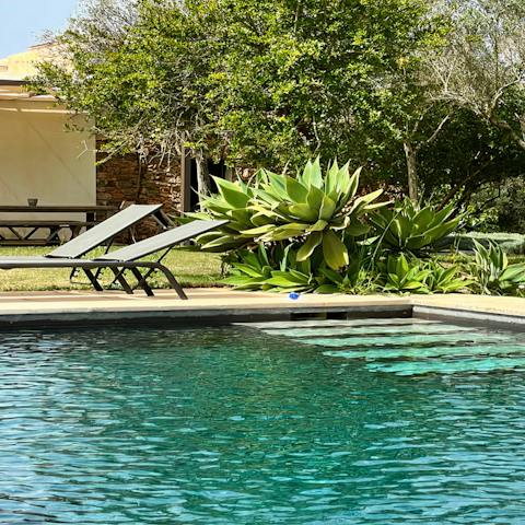 Lie out under the warm sun before cooling off in the pool