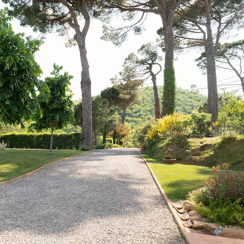 Take long sunset strolls through the beautiful gardens and woodland