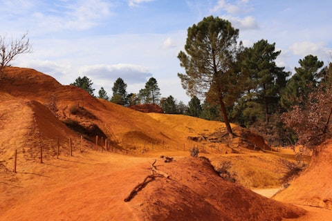 Head into the Luberon Regional Nature Park for hiking trails through cedar forests and limestone scenery, around a forty-five-minute drive away