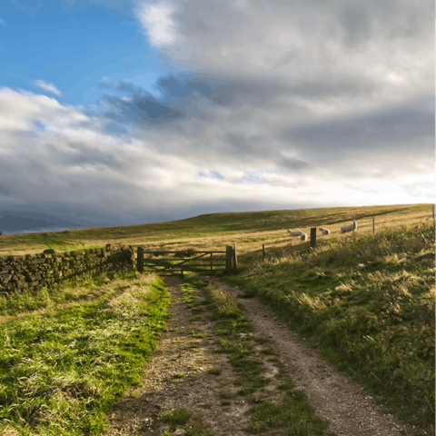 Explore the beautiful North York Moors from your location on the western edge