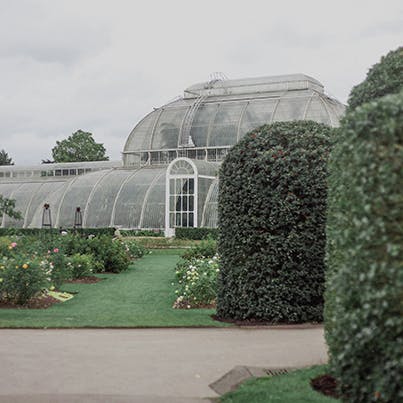 Visit the iconic Royal Botanic Gardens in Kew
