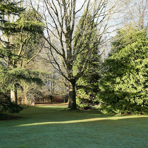 Explore the Woodland Walk stretching over 7 acres – just moments away