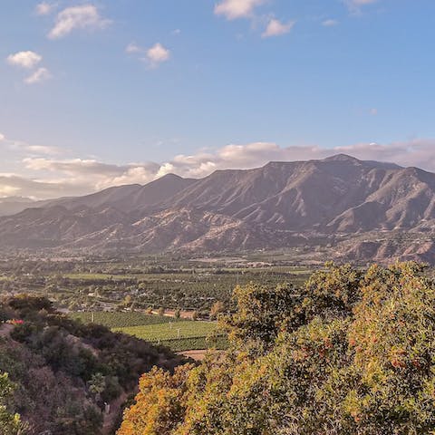 Follow hiking trails through the beautiful countryside of Ojai
