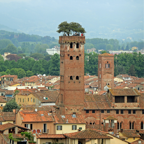 Climb the Guinigi Tower, just a four-minute walk away