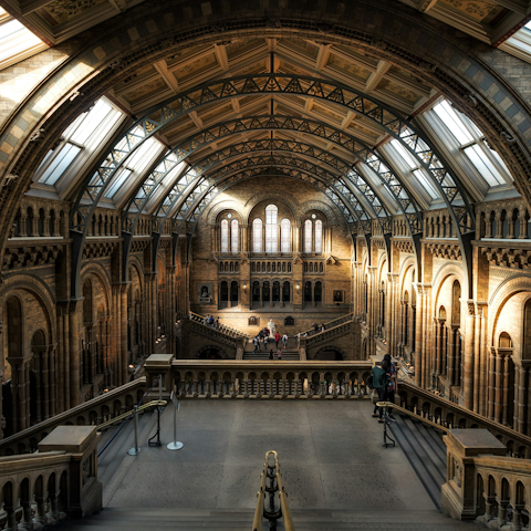 Hop on the Tube to easily visit the Natural History Museum