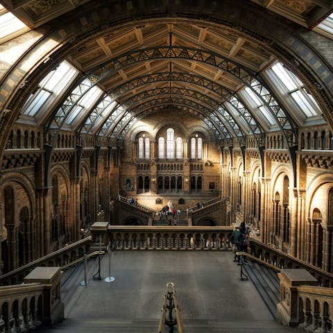 Hop on the Tube to easily visit the Natural History Museum