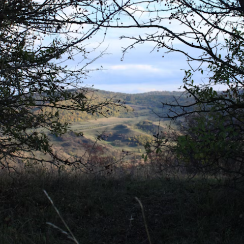 Explore the Blackdown Hills AONB, just a short drive away