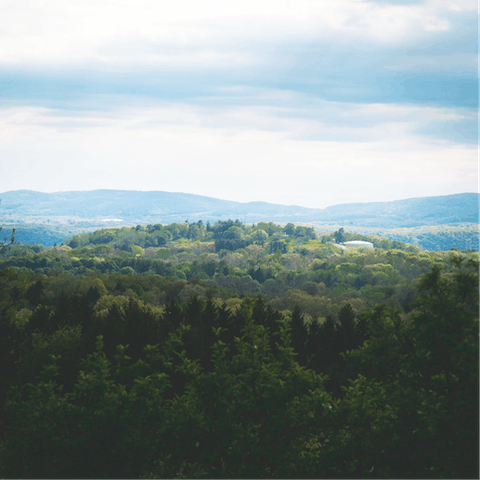 Stay a six minute drive from Saugerties, a beautiful upstate New York town