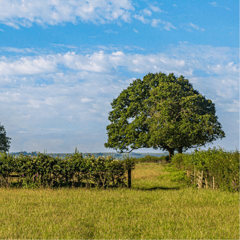 Have a walk in the Gloucestershire countryside or visit the nearby Cotswolds