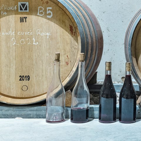 Book a wine tasting tour on the estate