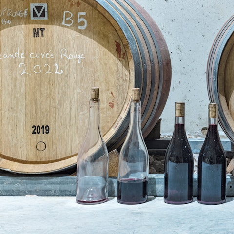 Book a wine tasting tour on the estate
