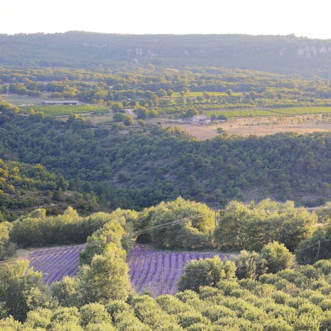 Stay in the idyllic town of Saint-Martin-de-Castillon to experience French country life at its best