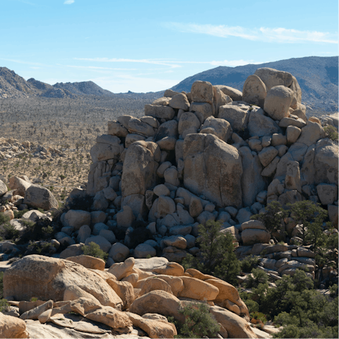 Explore the breathtaking rock formations of the Joshua Tree National Park, a seven-minute drive away