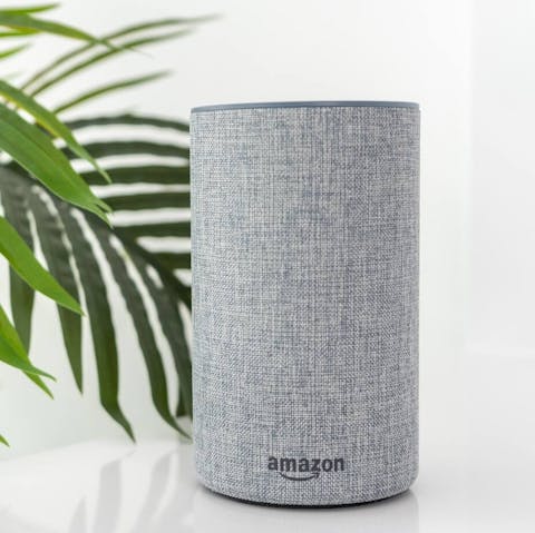 Play any song you want - the use of three Alexas is included