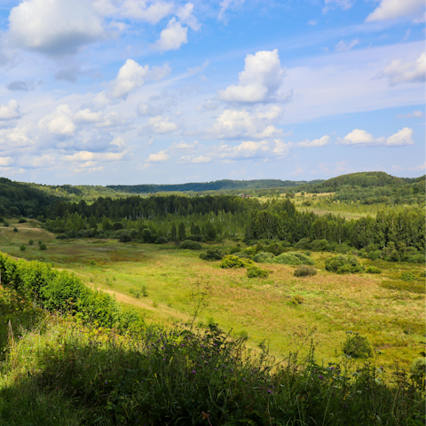 Drive to Wittenham Clumps and enjoy a stroll through the countryside