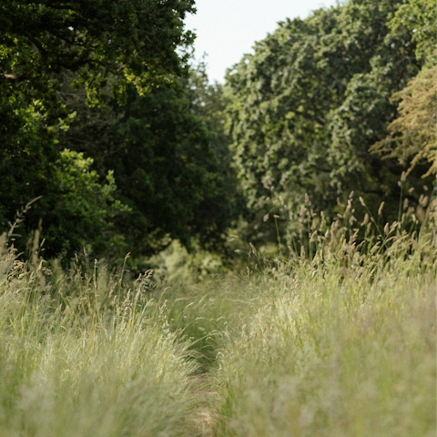 Spend an afternoon strolling through nearby Hackney Marshes