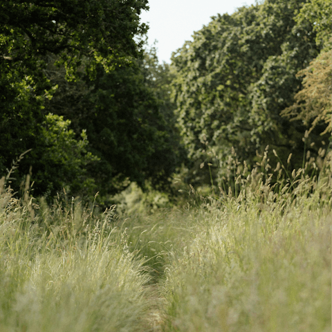 Spend an afternoon strolling through nearby Hackney Marshes