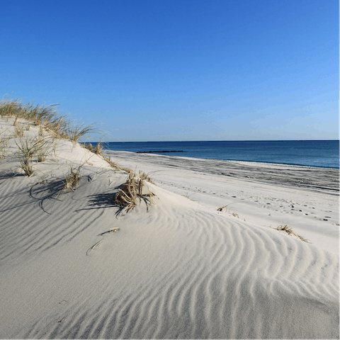 Visit nearby Folly Beach in just 25 minutes
