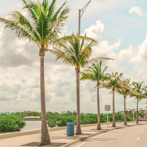 Discover popular Key West – less than a mile away