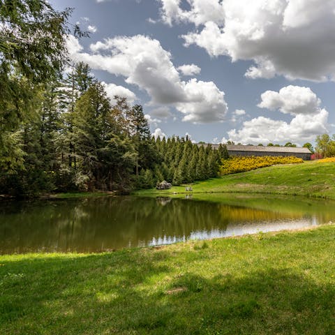 Cool off with a refreshing dip in the pond after a walk across the grounds