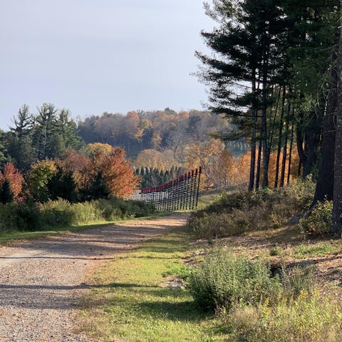 Stay in the breathtakingly beautiful Connecticut countryside