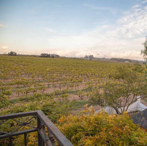 Gaze out to bucolic views of the Catalan countryside from the home's balcony