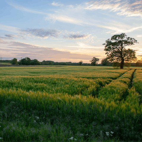 Enjoy a walk around nearby Glympton Park