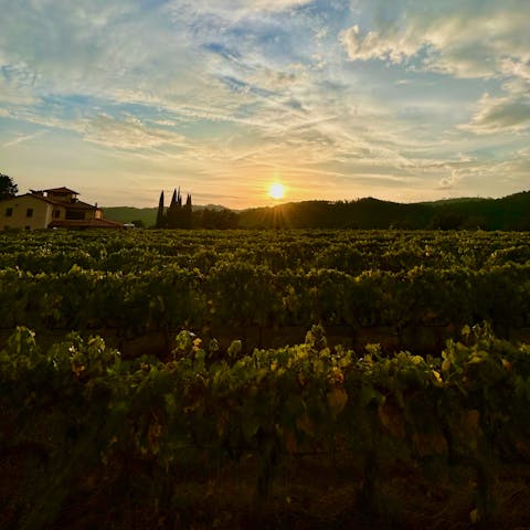 Take sunset strolls around the surrounding area of Gaiole