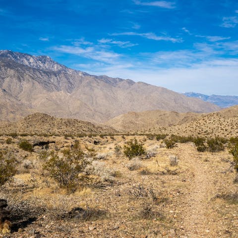 Explore the Palm Desert with a hike through the Indian Canyons, a fifteen-minute drive away