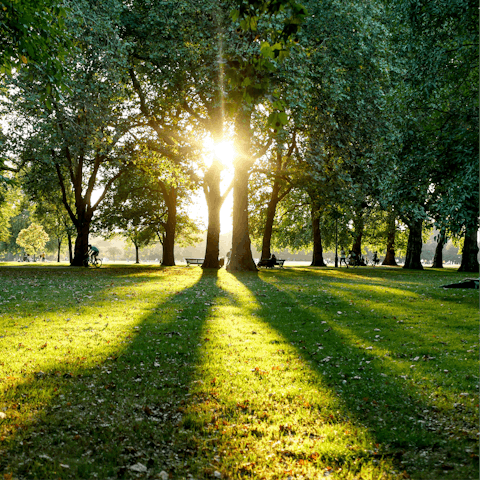 Head to Hyde Park for an afternoon picnic