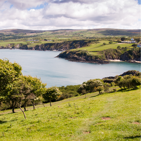 Hike in the Pembrokeshire Coast National Park, a thirty-five minute drive from home