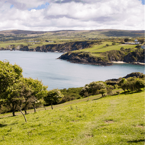 Hike in the Pembrokeshire Coast National Park, a thirty-five minute drive from home