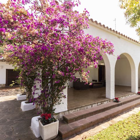 Admire the gorgeous fauna and flora of the Mediterranean garden