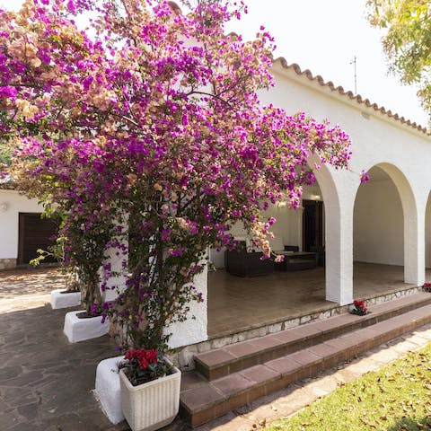 Admire the gorgeous fauna and flora of the Mediterranean garden