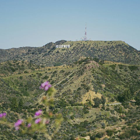 Enjoy the magic of LA from the Hollywood Hills