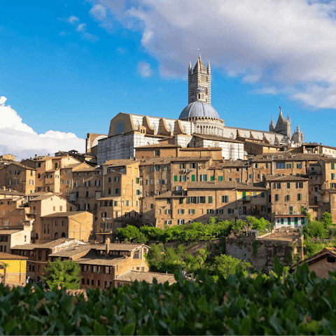 Take a day trip to Siena