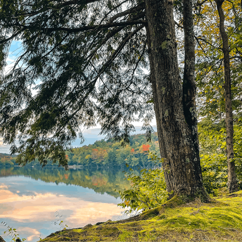 Enjoy the glorious outdoors, with a nature reserve at your doorstep 