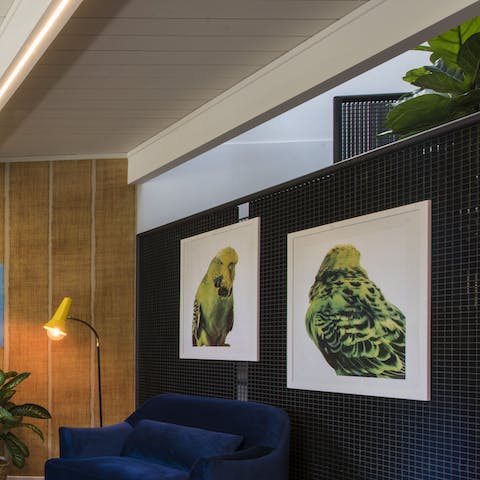 Admire the quirky art