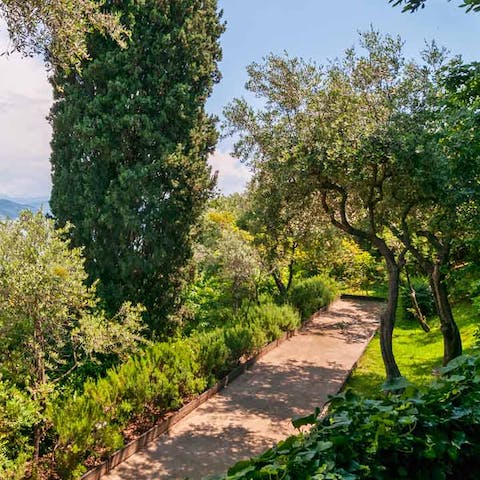 Take a magical tree-lined path to the beach