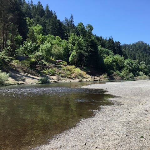 Stroll along the river bank of the Russian River, located at the end of the backyard